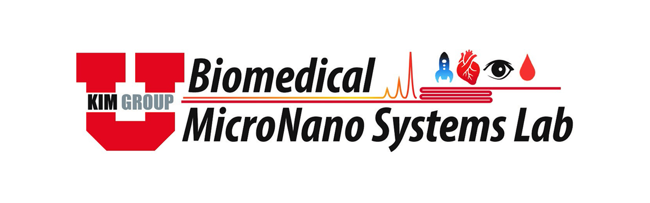 Biomedical Micro-Nano Systems Lab